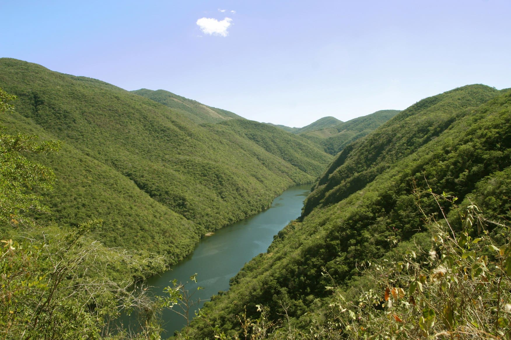 Uruapan, Michoacán: Descubre la Reserva de la Biosfera Zicuirán-Infiernillo, Santuario de Aves Migratorias